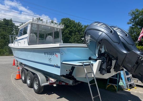 Steiger-craft 31-FISHERMAN image