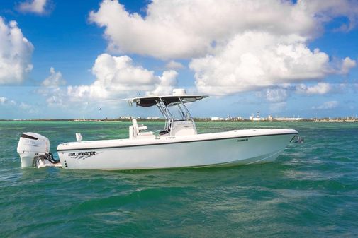 Bluewater Sportfishing 2850 image