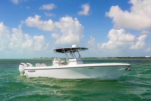 Bluewater Sportfishing 2850 image