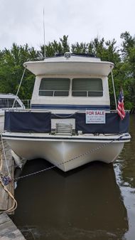 Holiday-mansion HOUSEBOAT image