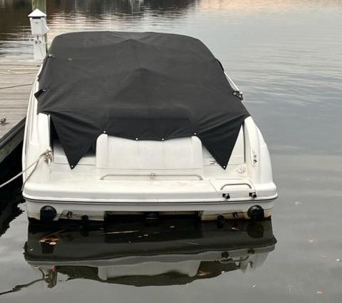 Formula 260-BOWRIDER image