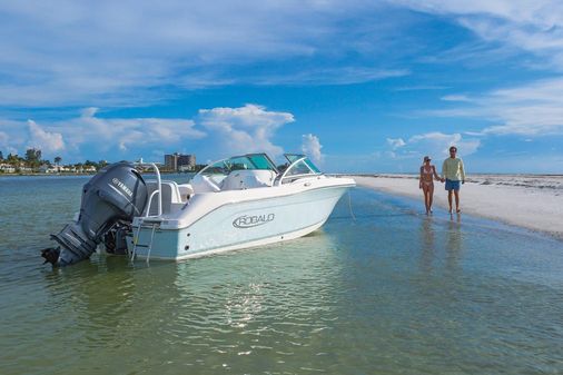 Robalo R207-DUAL-CONSOLE image