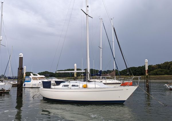 Contessa 28 image