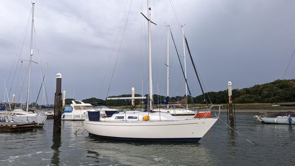 Contessa 28 image