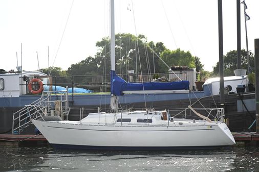 Contessa 28 image