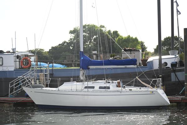 Contessa 28 - main image