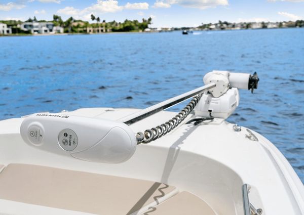 Boston Whaler 270 Dauntless image