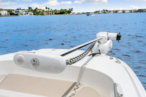 Boston Whaler 270 Dauntless image