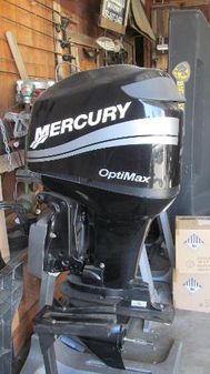 Mercury 75 Optimax DFI image