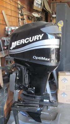 Mercury 75 Optimax DFI - main image