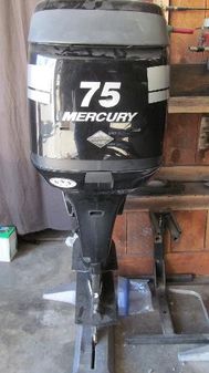 Mercury 75 Optimax DFI image