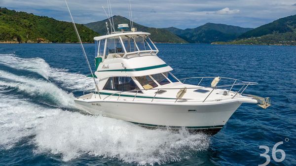Riviera 34 Platinum 