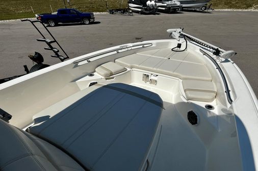 Boston Whaler 250 Dauntless image