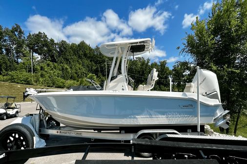 Boston Whaler 250 Dauntless image