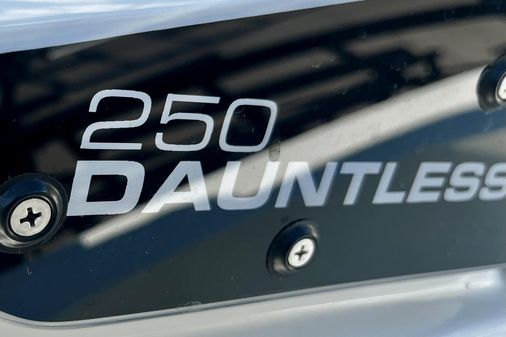 Boston Whaler 250 Dauntless image