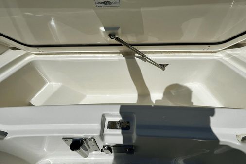 Boston Whaler 250 Dauntless image