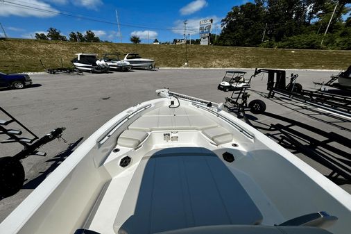 Boston Whaler 250 Dauntless image