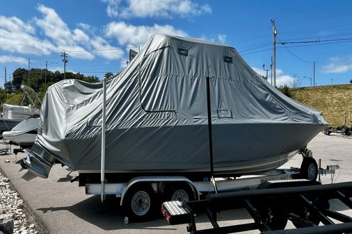 Boston Whaler 250 Dauntless image