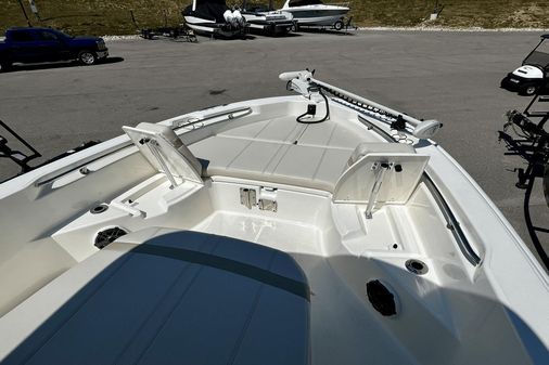 Boston Whaler 250 Dauntless image