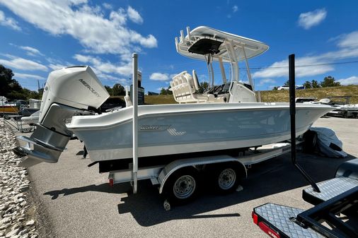 Boston Whaler 250 Dauntless image