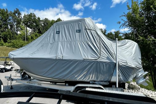 Boston Whaler 250 Dauntless image