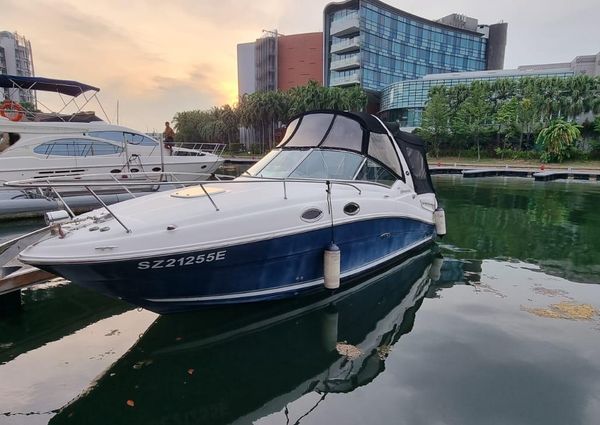 Sea-ray 260-SUNDANCER image