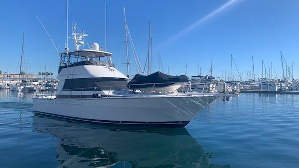 Mediterranean sport fisher