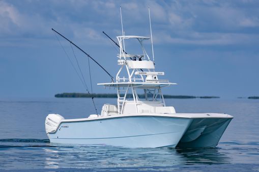Invincible 35 Catamaran image