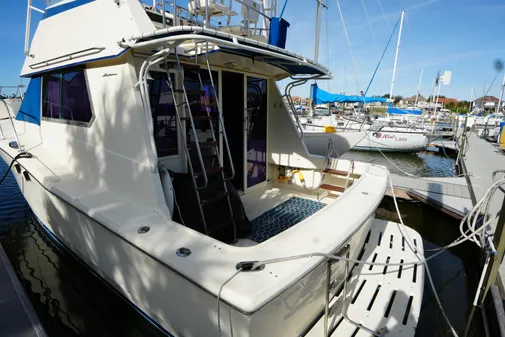 Hatteras 36 Convertible image