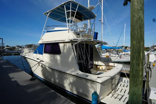 Hatteras 36 Convertible image