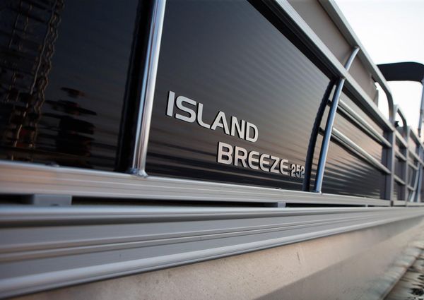 Landau ISLAND-BREEZE-252-CRUISE-REAR-FISH image