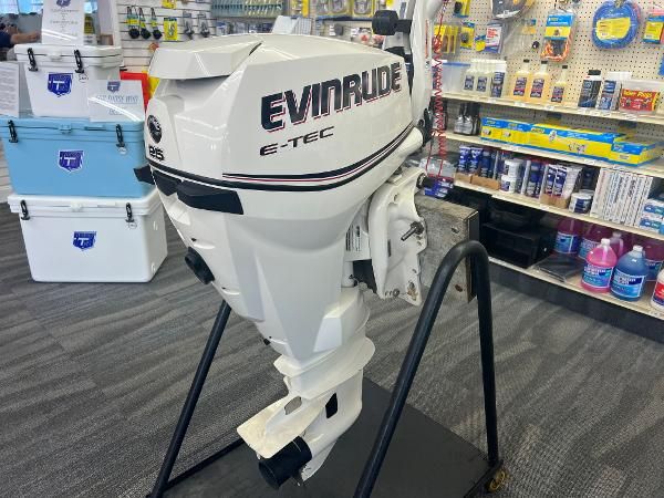 Evinrude 25 E-TEC