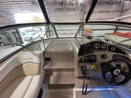 Sea Ray 260 Sundancer image