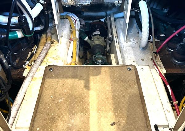 Carver 41 Cockpit Motor Yacht image