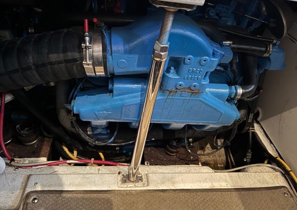 Carver 41 Cockpit Motor Yacht image