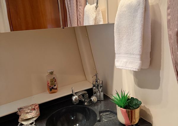 Carver 41 Cockpit Motor Yacht image