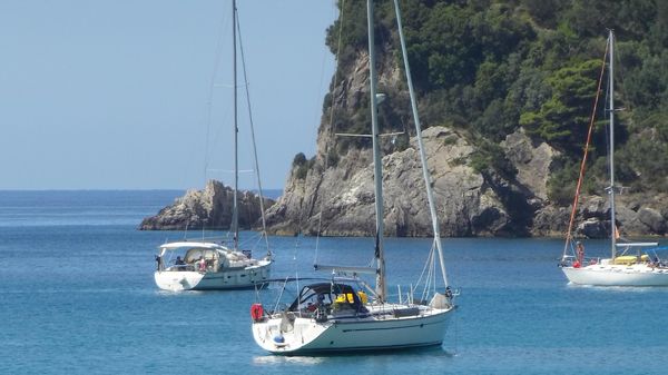 Bavaria 50