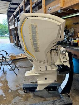 Evinrude 150Hp image