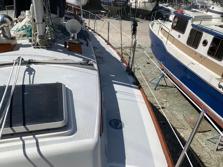 Cape Dory 36 image