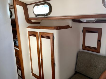 Cape Dory 36 image