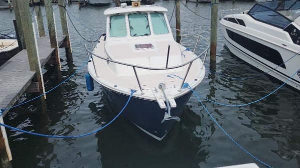 Back Cove 29