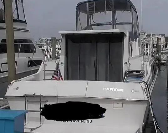 Carver 330-MARINER image