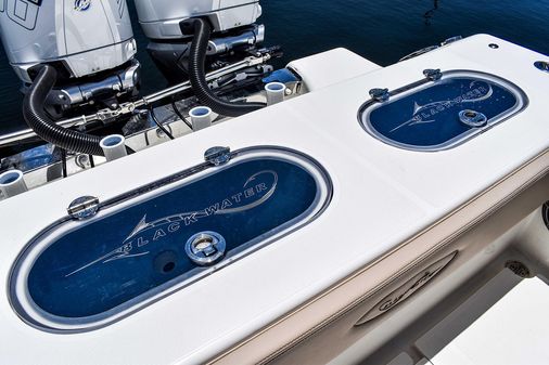 Blackwater 36-SPORTFISH image