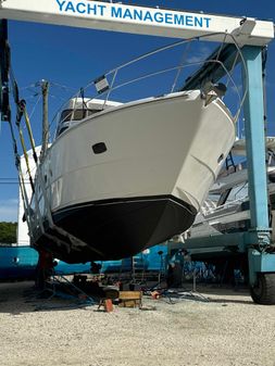 Neptunus 62 Flybridge image