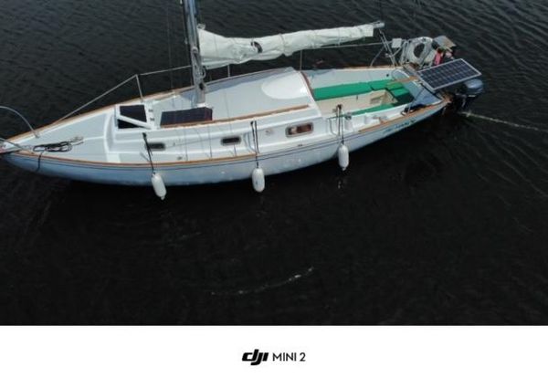 Contessa 26 image