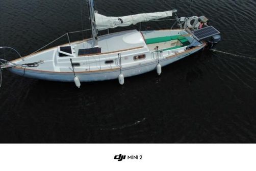 Contessa 26 image