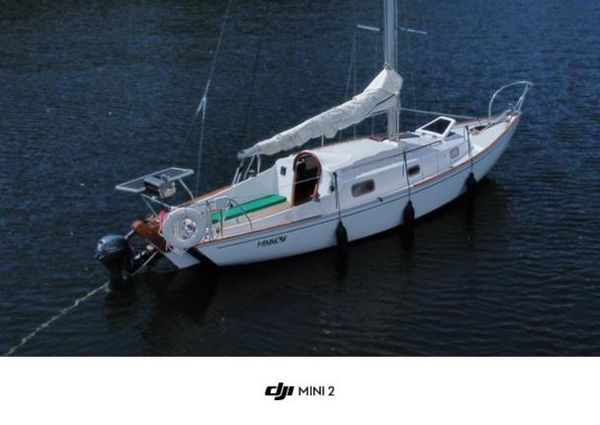 Contessa 26 image