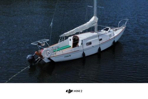 Contessa 26 image