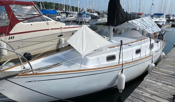 Contessa 26 