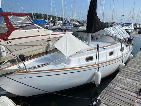 Contessa 26 image